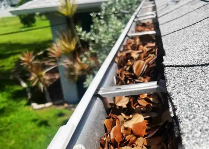 Brandon gutter cleaning home page